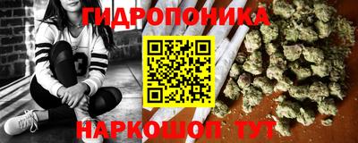прущие грибы Комсомольск-на-Амуре