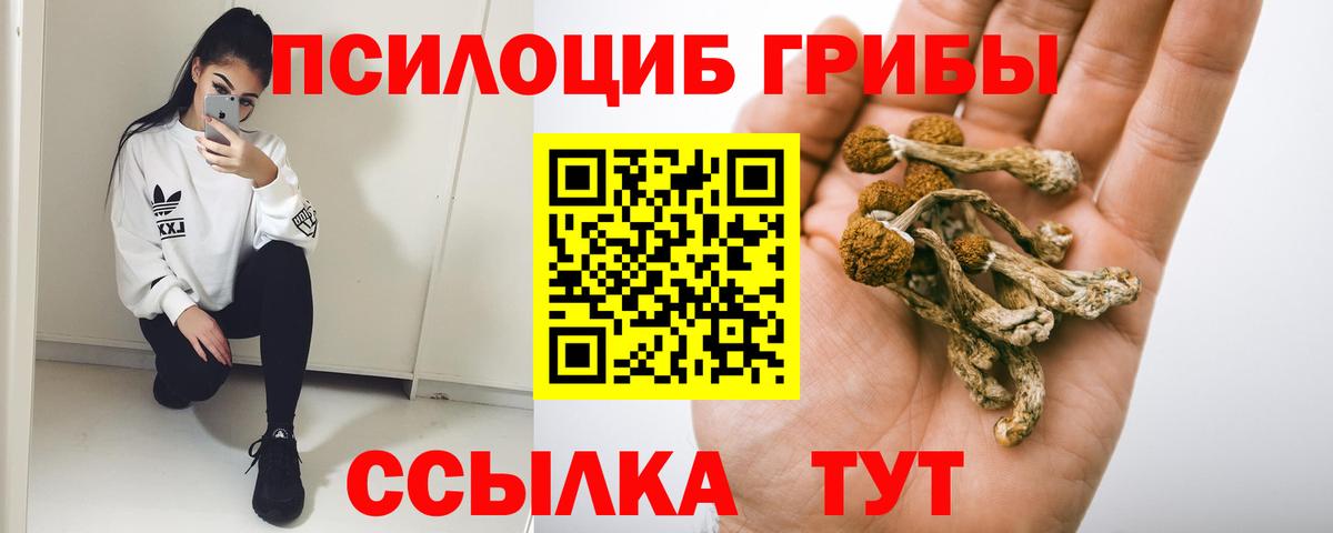 Галлюциногенные грибы прущие грибы  Псилоцибиновые грибы Magic Shrooms  Вход с VPN  Стрежевой 